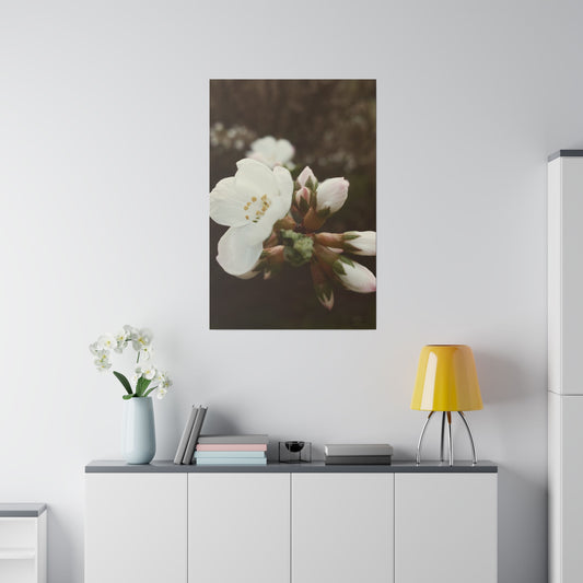 Spring in Bloom Canvas