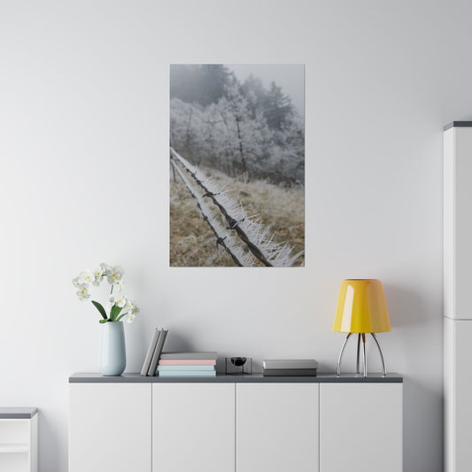 Frosty Fence Canvas