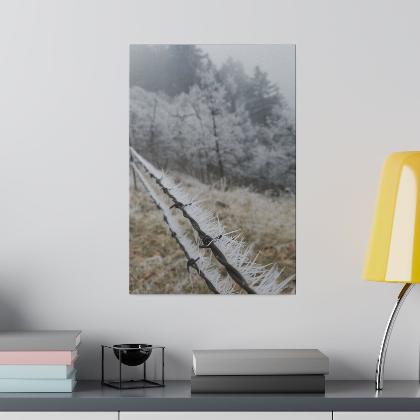 Frosty Fence Canvas